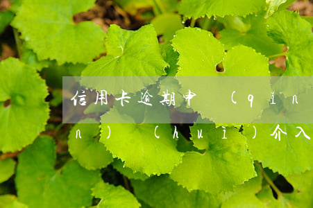 信用卡逾期申請(qǐng)銀監(jiān)會(huì)介入說什么-銀監(jiān)會(huì)信用卡逾期規(guī)定