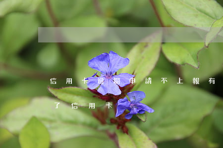 信用卡逾期申請不上報(有信用逾期記錄辦不了信用卡)