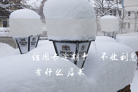信用卡逾期申請不收利息(欠信用卡利息不還有什么后果)