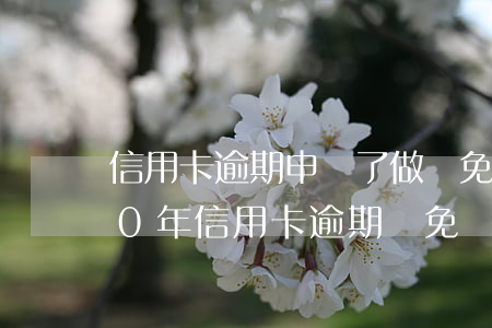 信用卡逾期申請了做減免多久能消-2020年信用卡逾期減免標準