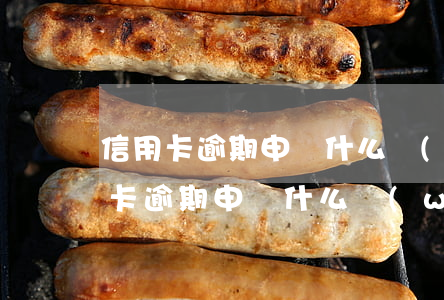 信用卡逾期申請什么網(wǎng)貸(信用卡逾期申請什么網(wǎng)貸可以通過)