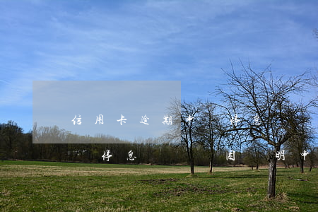 信用卡逾期申請停息掛賬貧困證明-銀行申請停息掛賬貧困證明申請