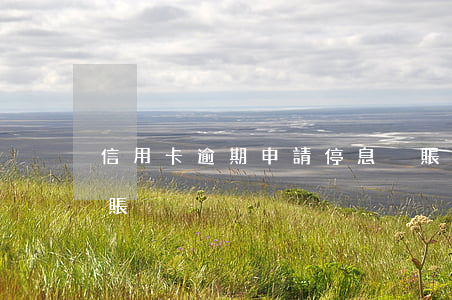 信用卡逾期申請停息掛賬銀行 信用卡 停息掛賬