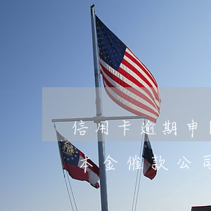信用卡逾期申請 免息(信用卡逾期申請免息還本金催款公司有提成嗎)