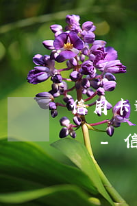 信用卡逾期申請凍結(jié)后可以解凍嗎-信用卡逾期申請凍結(jié)后可以解凍嗎安全嗎