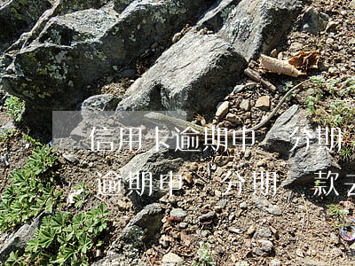 信用卡逾期申請分期還款去哪申請-信用卡逾期申請分期還款去哪申請呢