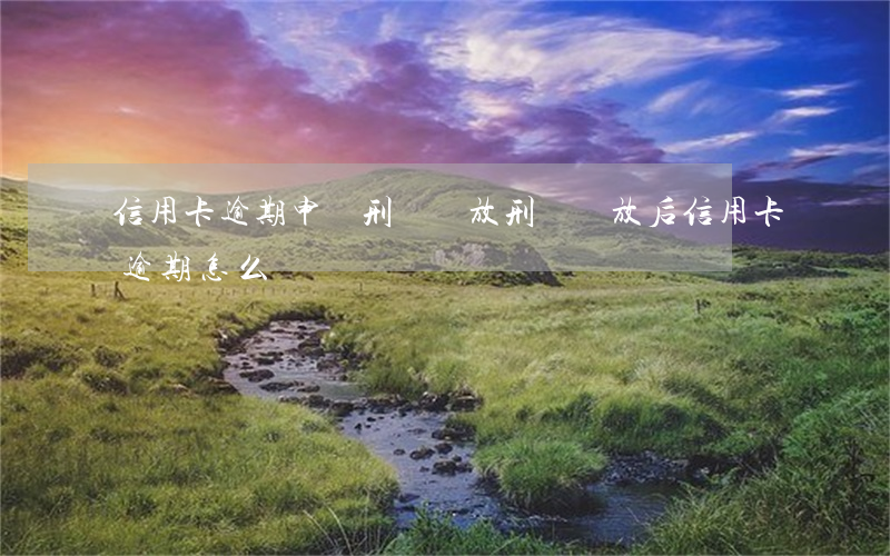 信用卡逾期申請刑滿釋放(刑滿釋放后信用卡逾期怎么辦)