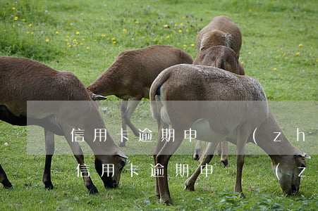 信用卡逾期申請執(zhí)行階段 時長-信用卡逾期申請執(zhí)行階段 時長多久