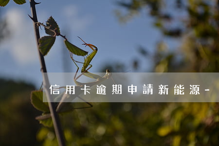 信用卡逾期申請新能源-“信用卡逾期”