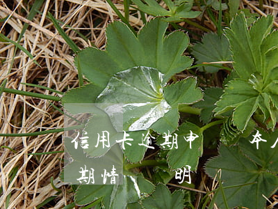 信用卡逾期申請書本人承諾(怎么寫信用卡逾期情況說明)