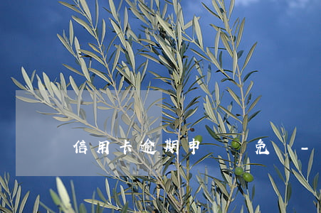 信用卡逾期申請減免書-逾期罰息減免申請書
