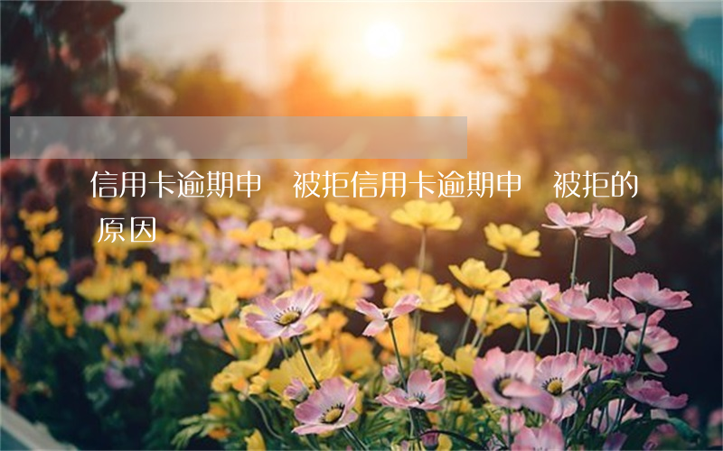 信用卡逾期 申請被拒(信用卡逾期 申請被拒的原因)