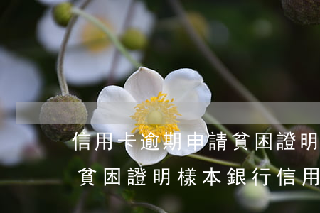 信用卡逾期申請貧困證明 村委會(huì)貧困證明樣本 銀行信用卡