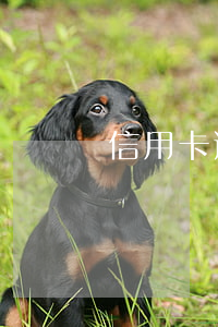 信用卡逾期申請貸款保證書(征信逾期保證書)