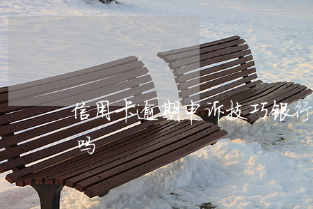 信用卡逾期申诉技巧银行(银行逾期可以申诉吗)