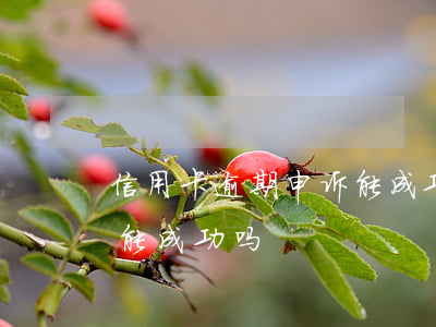 信用卡逾期申诉能成功吗吗（信用卡逾期申诉能成功吗）