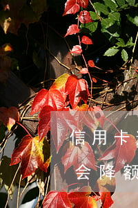 信用卡逾期申请减免会停卡吗(有逾期信用卡会降额吗)