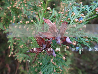 信用卡逾期申请导议(怎样写信用卡逾期申请书)