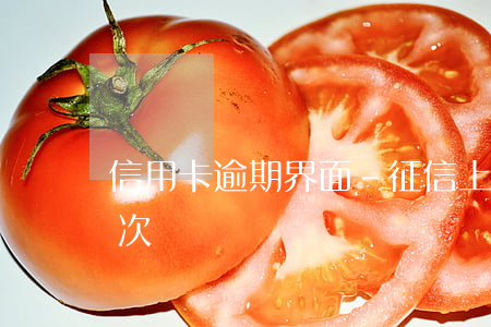 信用卡逾期界面-征信上显示信用卡逾期一次