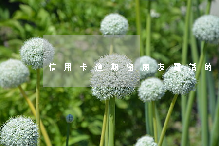信用卡逾期留朋友電話的影響及解決方法