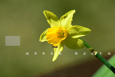 信用卡逾期異地法院(欠信用卡被異地法院起訴)