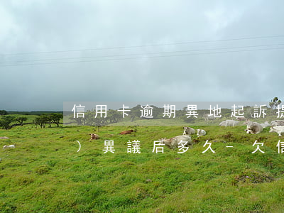 信用卡逾期異地起訴提出管轄權(quán)異議后多久-欠信用卡異地起訴