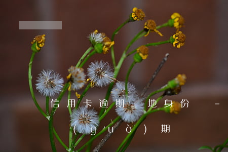 信用卡逾期異地身份證-異地銀行卡身份證過(guò)期