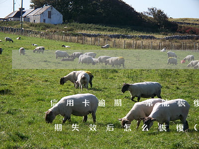 信用卡逾期異常能恢復(fù)嗎(信用卡逾期失效后怎么恢復(fù))