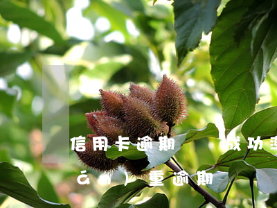 信用卡逾期異議成功率(什么叫信用卡嚴(yán)重逾期)