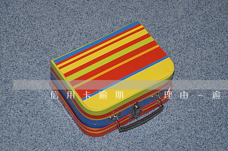 信用卡逾期異議理由-逾期異議申請怎么寫