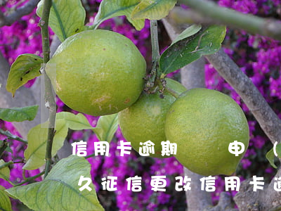 信用卡逾期異議申請(qǐng)成功后多久征信更改（信用卡逾期異議）