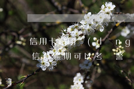 信用卡逾期當(dāng)不了輔警嗎-征信有逾期可以考輔警嗎