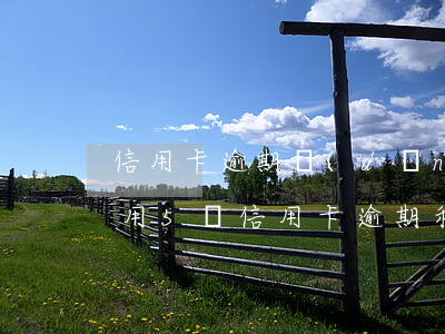 信用卡逾期當(dāng)中怎么借5萬急用(5萬信用卡逾期利息怎么算)
