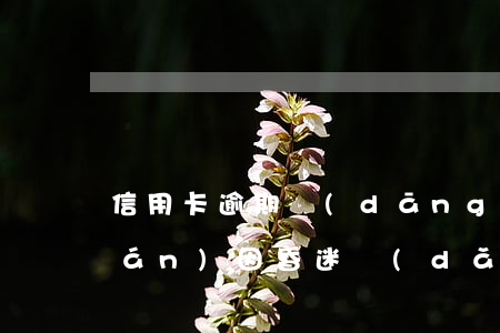 信用卡逾期當(dāng)事人失聯(lián)(因昏迷導(dǎo)致信用卡逾期)