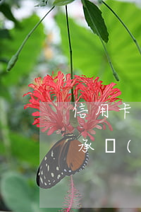信用卡逾期當(dāng)事人死了，家人要承擔(dān)債務(wù)嗎-欠信用卡的當(dāng)事人死了 要家人還嗎?