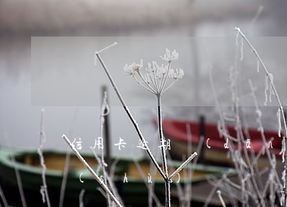 信用卡逾期當(dāng)天還算逾期天數(shù)