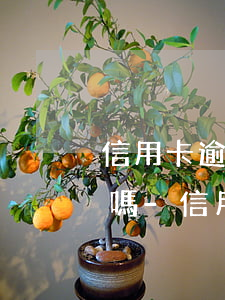 信用卡逾期當(dāng)月查征信能查到嗎-信用卡逾期當(dāng)月查征信能查到嗎