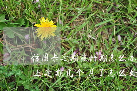 信用卡逾期疫情期怎么办(疫情后信用卡还不上逾期几个月了怎么处理)