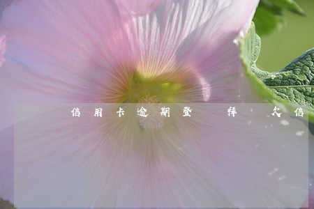 信用卡逾期登門拜訪 欠信用卡會上門走訪嗎