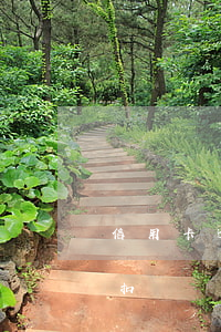 信用卡逾期發(fā)了工資會(huì)扣嗎(貸款逾期工資卡的錢會(huì)被扣嗎)