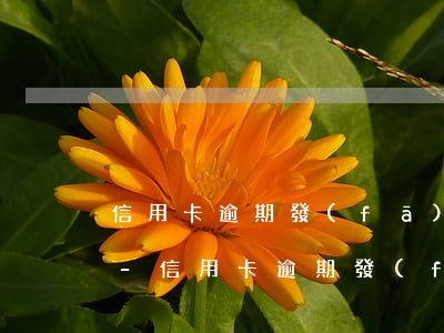 信用卡逾期發(fā)了律師函過來戶籍地-信用卡逾期發(fā)了律師函過來戶籍地會知道嗎