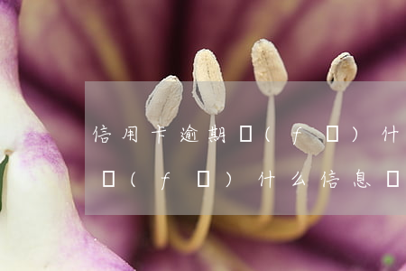信用卡逾期發(fā)什么信息(信用卡逾期發(fā)什么信息給家人)
