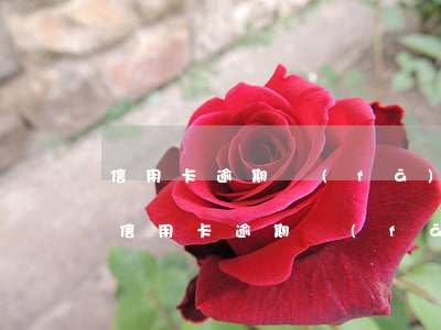 信用卡逾期發(fā)來(lái)告知函(信用卡逾期發(fā)告知函怎么辦)