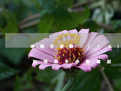 信用卡逾期發(fā)來(lái)起訴通知(信用卡逾期被起訴立案)