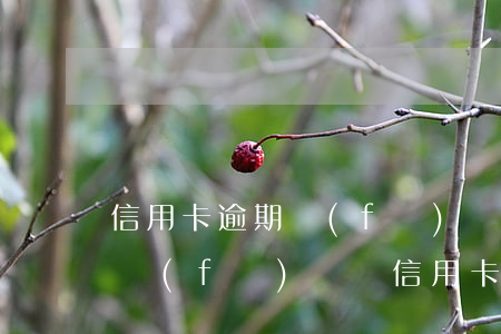 信用卡逾期發(fā)來告知函有用嗎(短信發(fā)來說信用卡逾期)