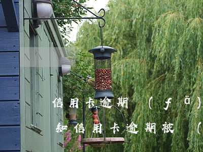 信用卡逾期發(fā)來執(zhí)行通知(信用卡逾期被執(zhí)行)