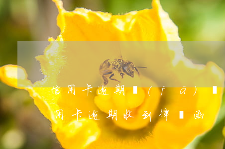信用卡逾期發(fā)來律師函怎么辦(因信用卡逾期收到律師函)