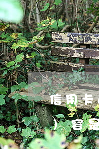 信用卡逾期發(fā)來的短信內(nèi)容是什么-信用卡逾期發(fā)來的短信內(nèi)容是什么意思