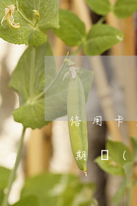 信用卡逾期發(fā)信息到郵箱(信用卡逾期發(fā)信息到郵箱)