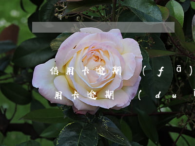 信用卡逾期發(fā)信息去家里(家里人信用卡逾期對(duì)自己有影響嗎)